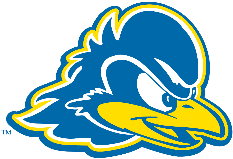 Delaware Blue Hens 2009-Pres Secondary Logo iron on transfers for T-shirts